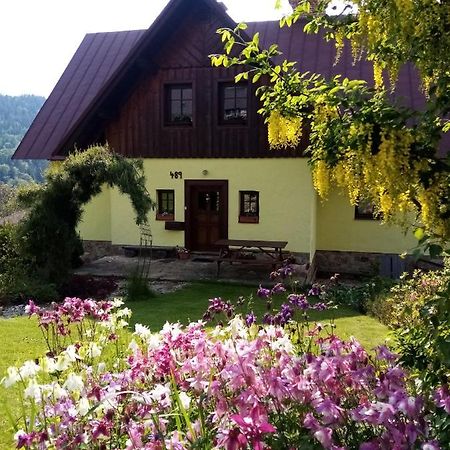 Apartments Vecernik Rokytnice Rokytnice nad Jizerou Bagian luar foto