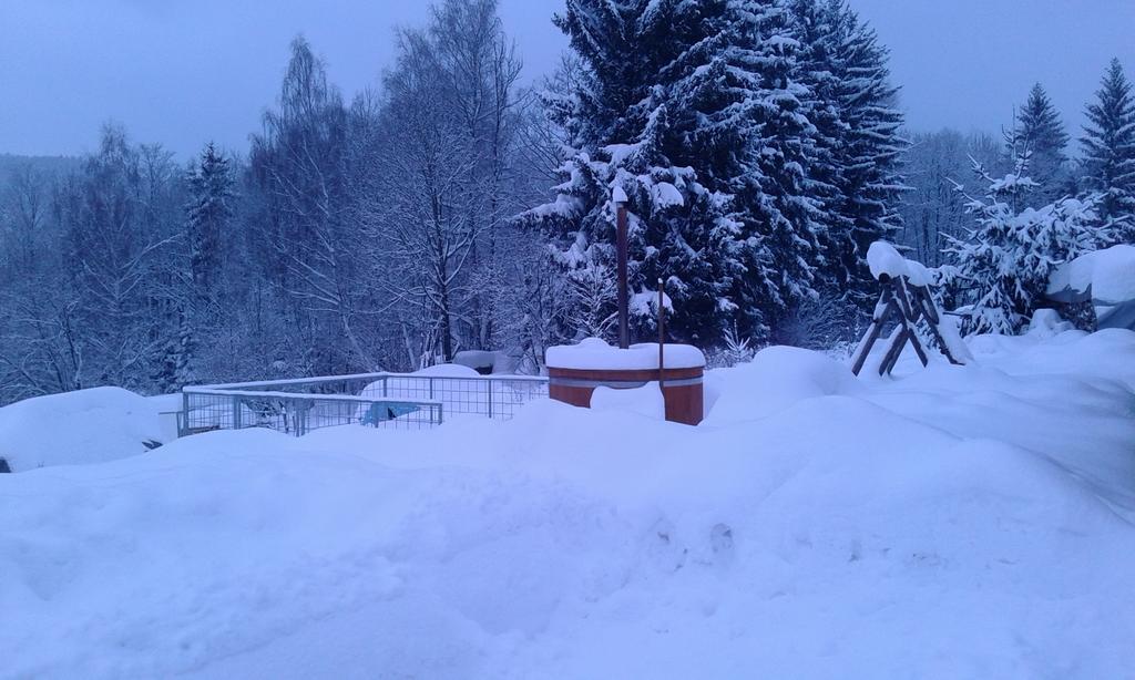 Apartments Vecernik Rokytnice Rokytnice nad Jizerou Bagian luar foto