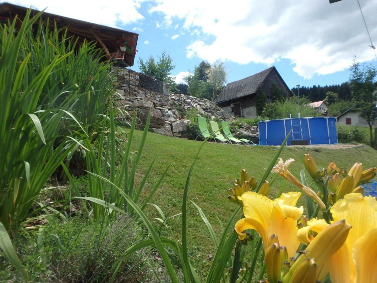 Apartments Vecernik Rokytnice Rokytnice nad Jizerou Bagian luar foto