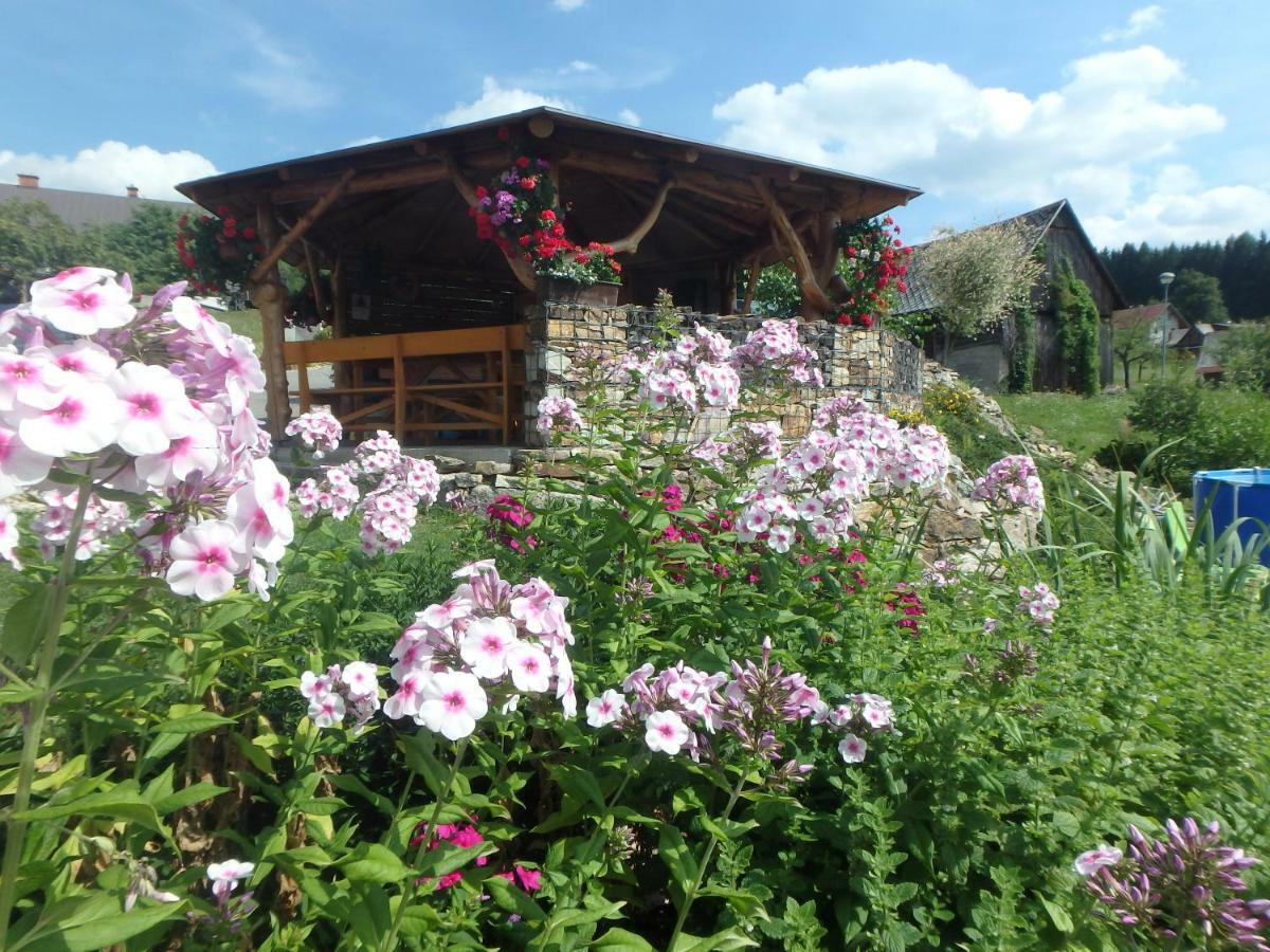 Apartments Vecernik Rokytnice Rokytnice nad Jizerou Bagian luar foto